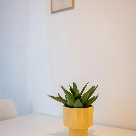 Cozy Historical Nest Nápoly